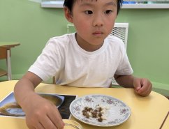 img_6